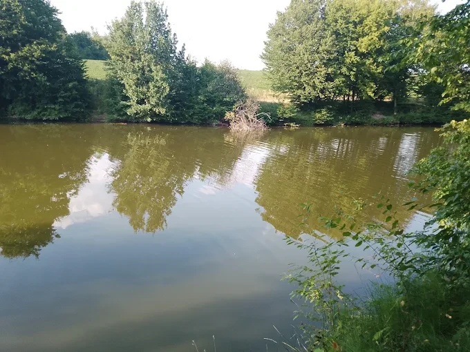 Колубаївський став