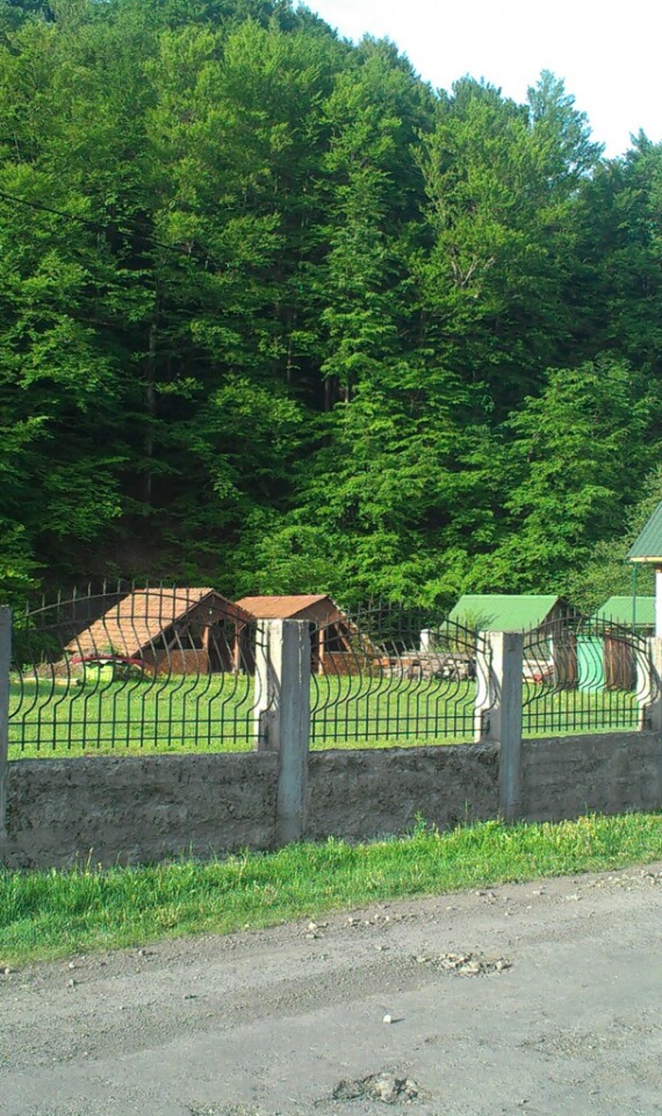 Комплекс «Мисливська садиба», Закарпатська обл. — риболовля, фото 2