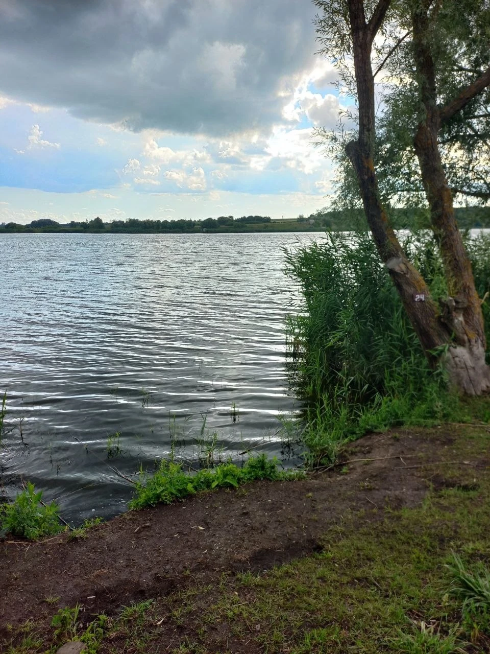 Коновалівка