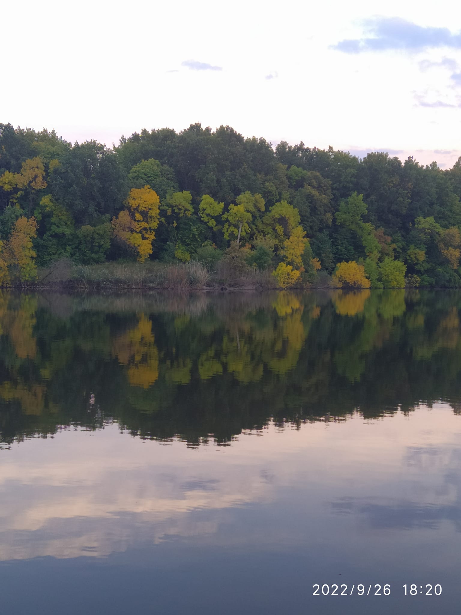 Ставок Мілова Балка, Кіровоградська обл. — риболовля, фото 14