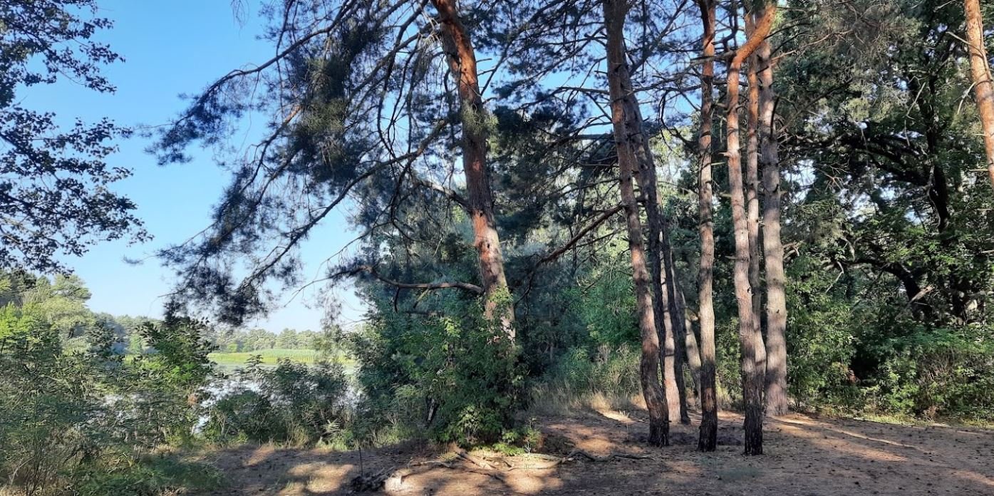База відпочинку "Купава", Кіровоградська обл. — риболовля, фото 9