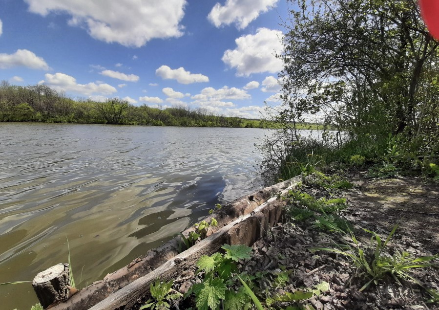 Ставок Покровка ("У Петровича"), Кіровоградська обл. — риболовля, фото 22