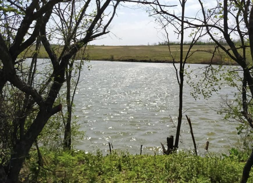 Ставок Покровка ("У Петровича"), Кіровоградська обл. — риболовля, фото 23