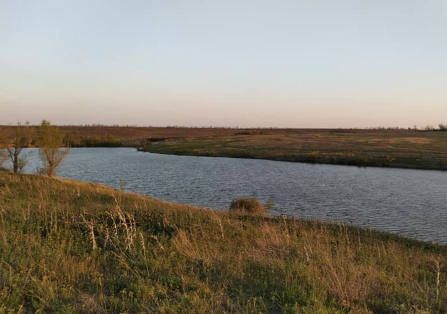Ставок Покровка ("У Петровича"), Кіровоградська обл. — риболовля, фото 25