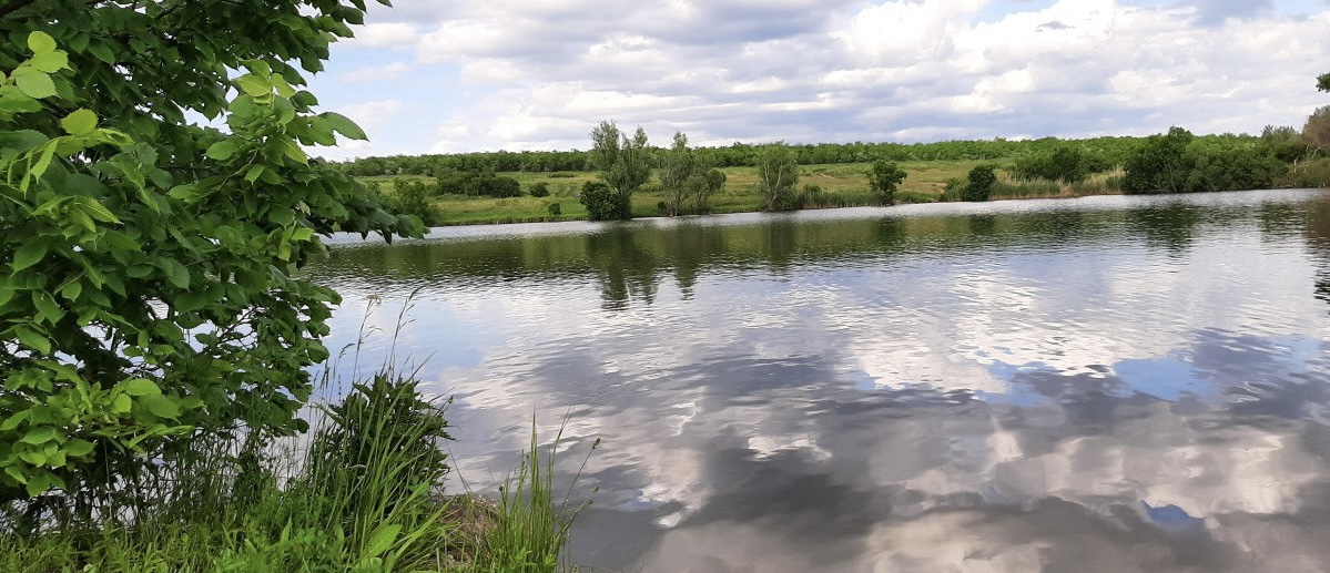 Ставок Покровка ("У Петровича"), Кіровоградська обл. — риболовля, фото 20