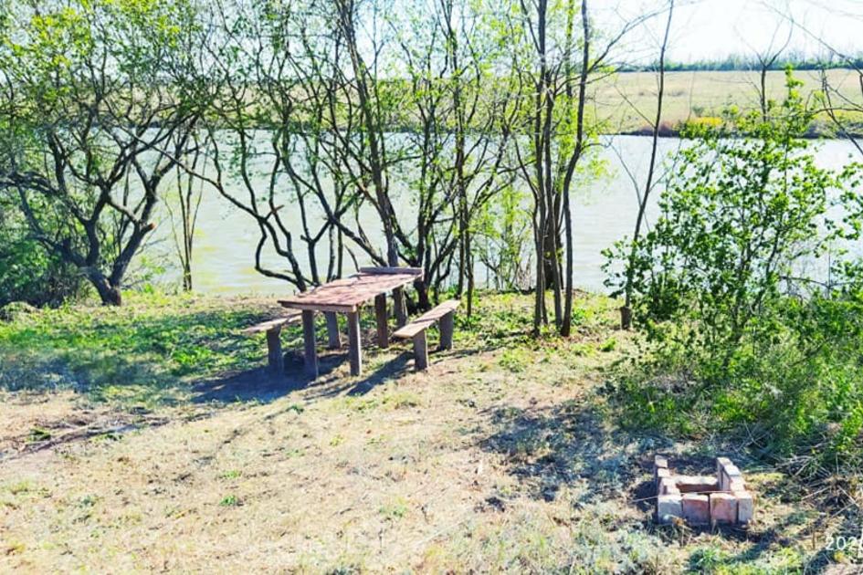 Ставок Покровка ("У Петровича"), Кіровоградська обл. — риболовля, фото 26