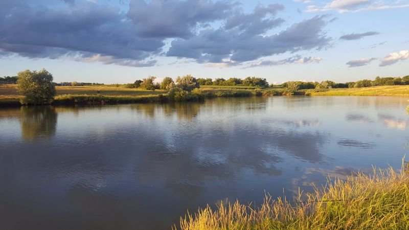 Озеро Криве, господарство КльовО, Львівська обл. — риболовля, фото 2