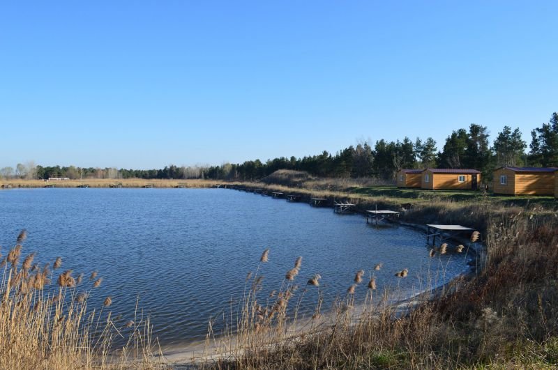 Криве, господарство КльовО