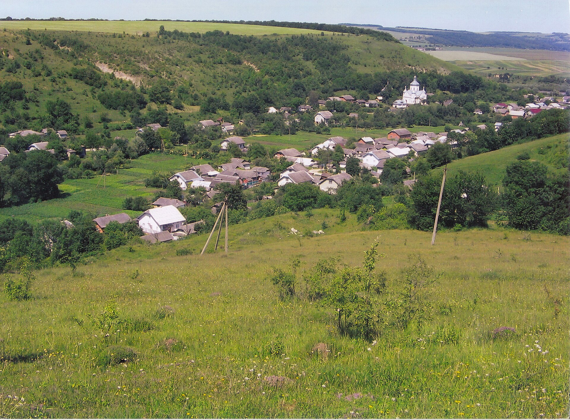 Кутище (річка Дністер)