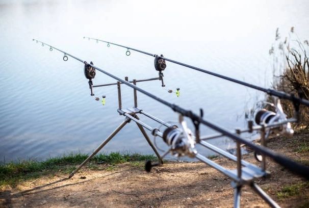 Комплекс відпочинку «Kaniv Fish Club», Черкаська обл. — риболовля, фото 10