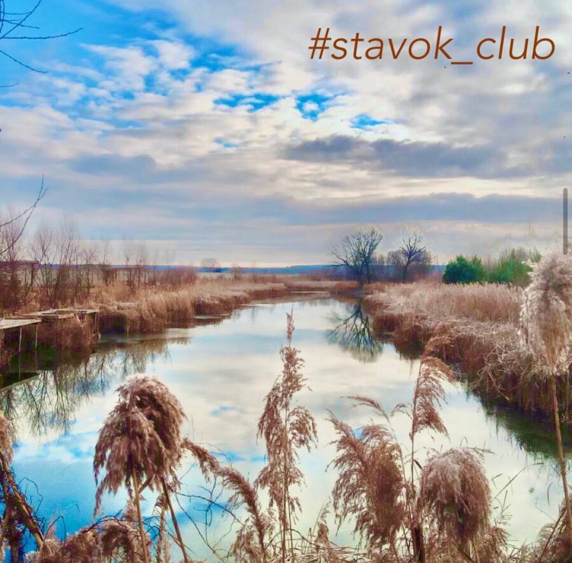 Ставок Рожни (Водойма «Stavok club»), Броварський район — риболовля, фото 3