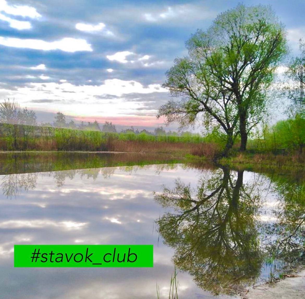 Ставок Рожни (Водойма «Stavok club»), Броварський район — риболовля, фото 4