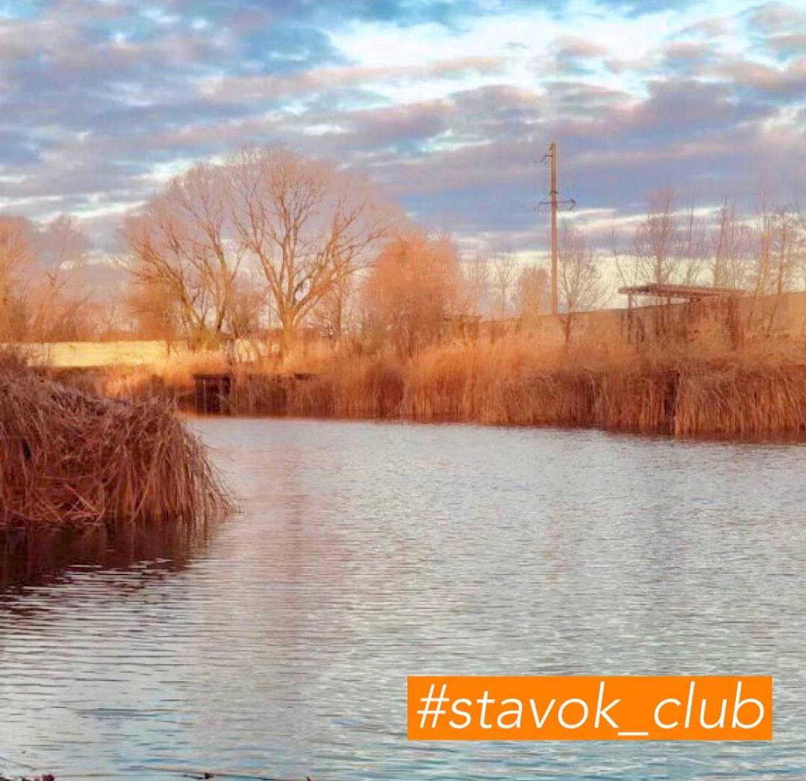Ставок Рожни (Водойма «Stavok club»), Броварський район — риболовля, фото 5