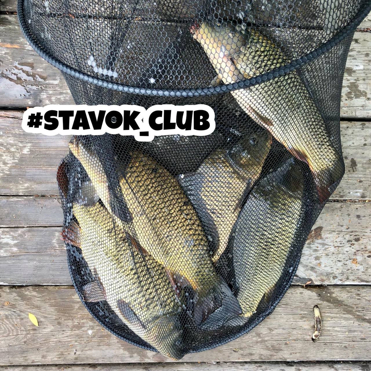 Ставок Рожни (Водойма «Stavok club»), Броварський район — риболовля, фото 2