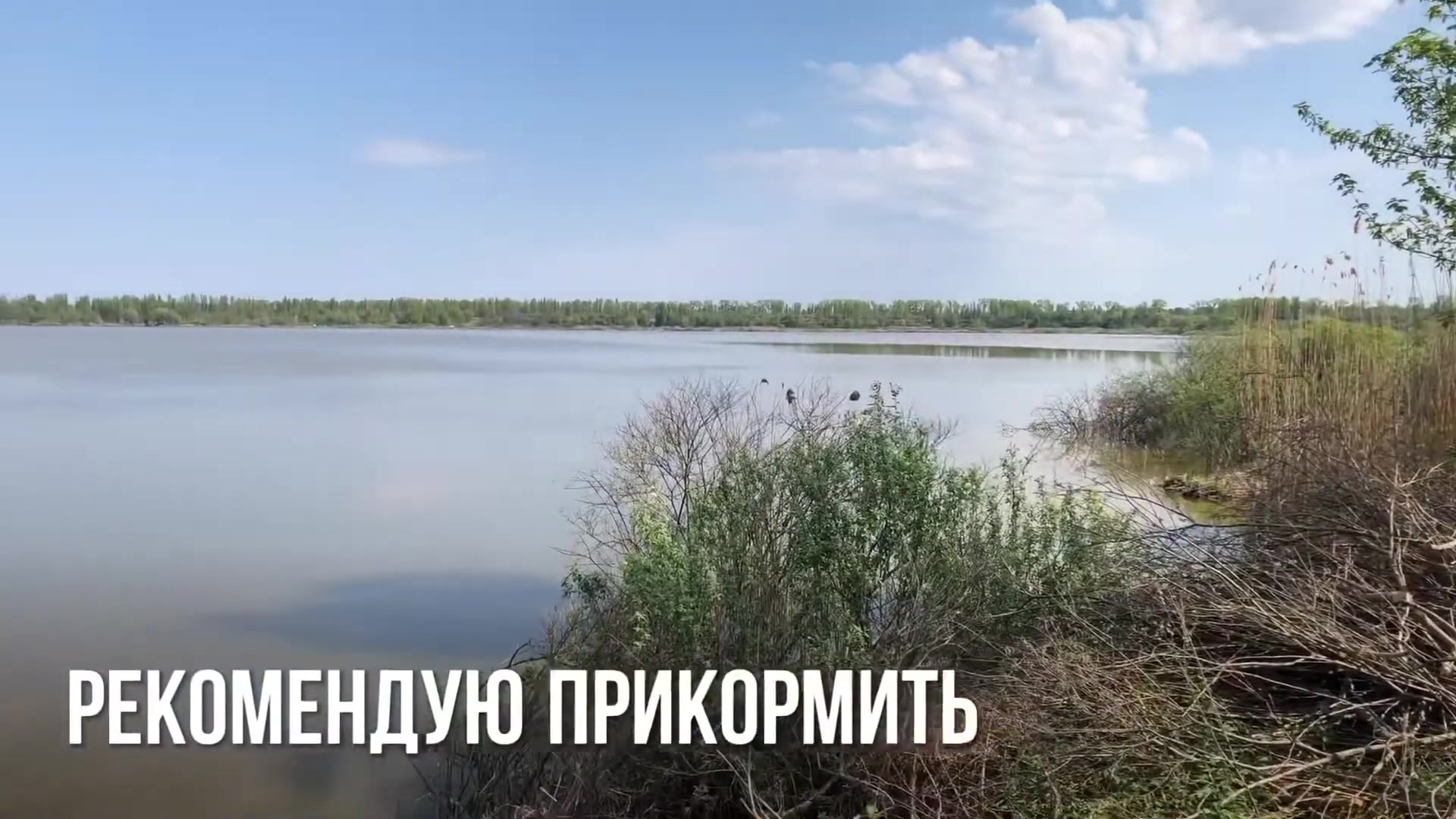 Ставок Яготинське водосховище, Київська обл. — риболовля, фото 5