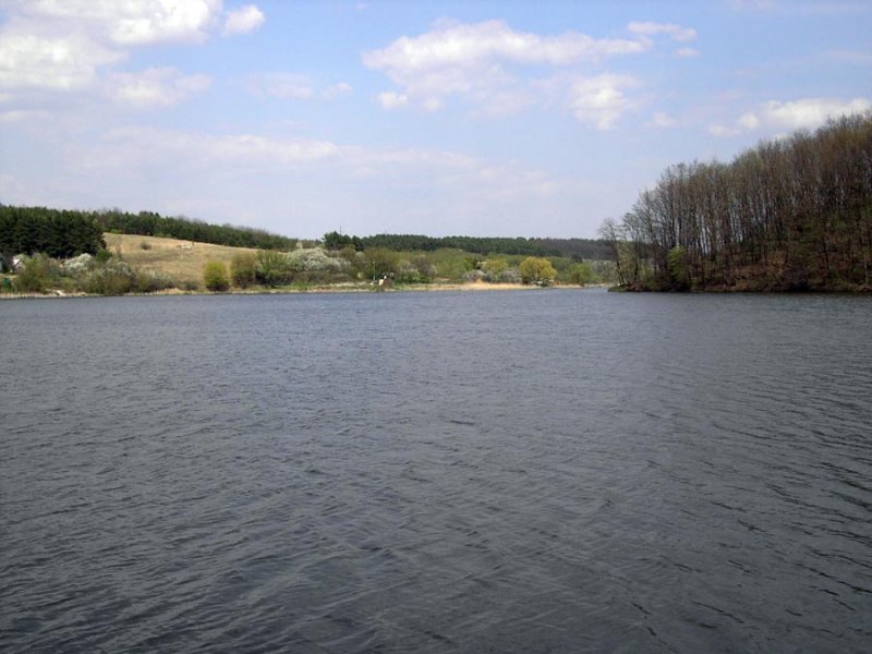 Став «Великі Прицьки», м. Київ — риболовля, фото 4