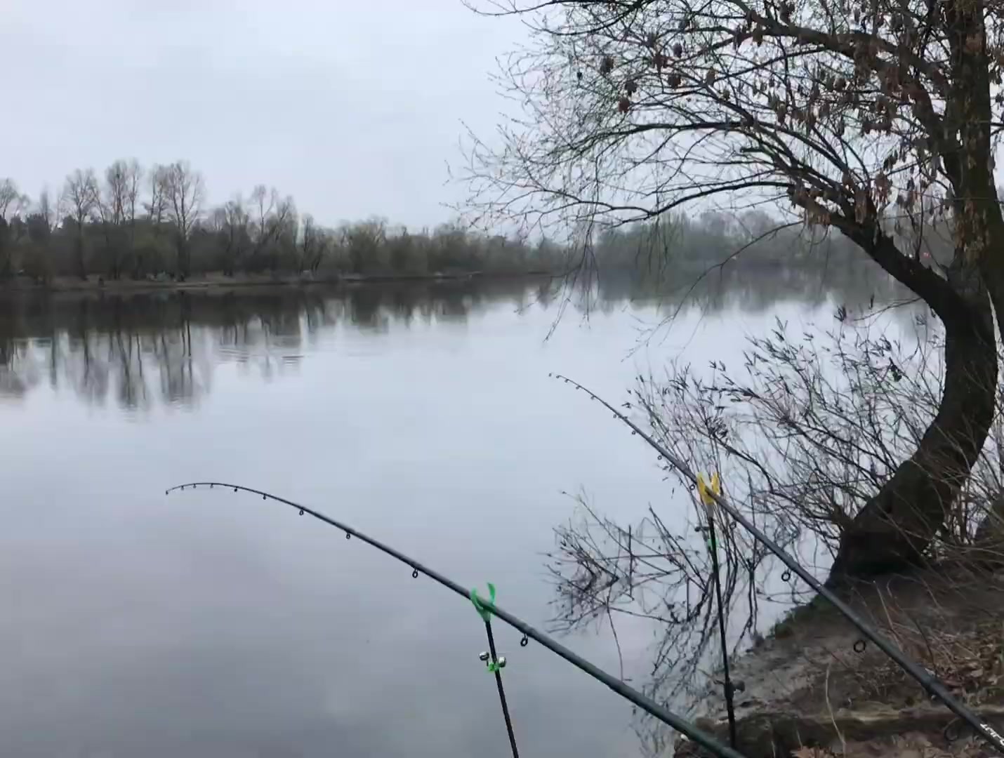 Водосховище Хотянівка (річка Десна), Київська обл. — риболовля, фото 2