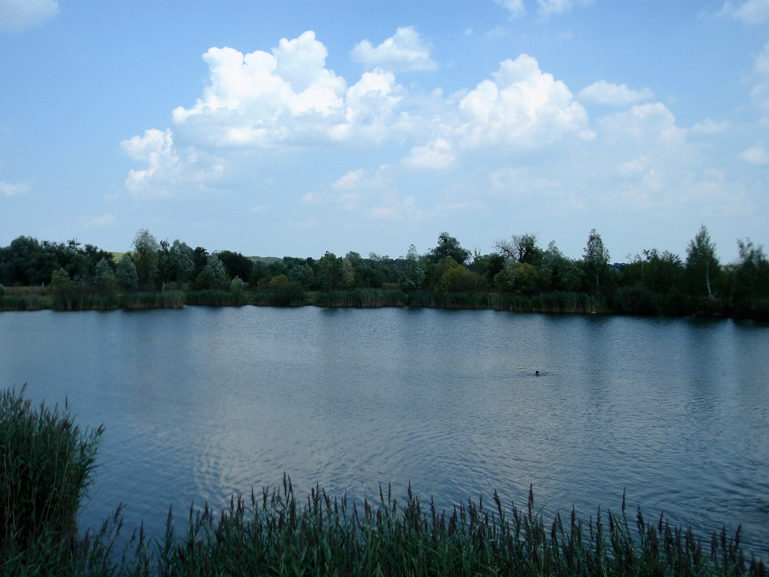 Ставок Ярошовка (Рибацький кордон), Київська обл. — риболовля, фото 6