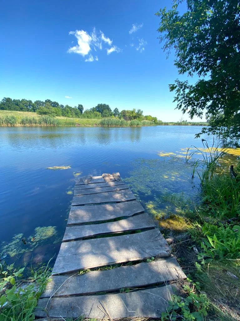 Ставок Левко (Ромодан), Полтавська обл. — риболовля, фото 2