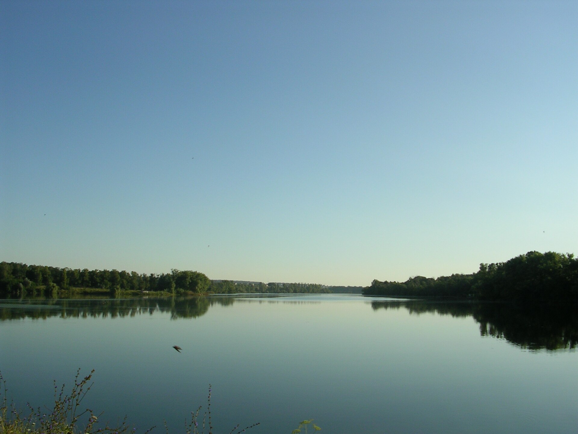Лозовеньківське водосховище