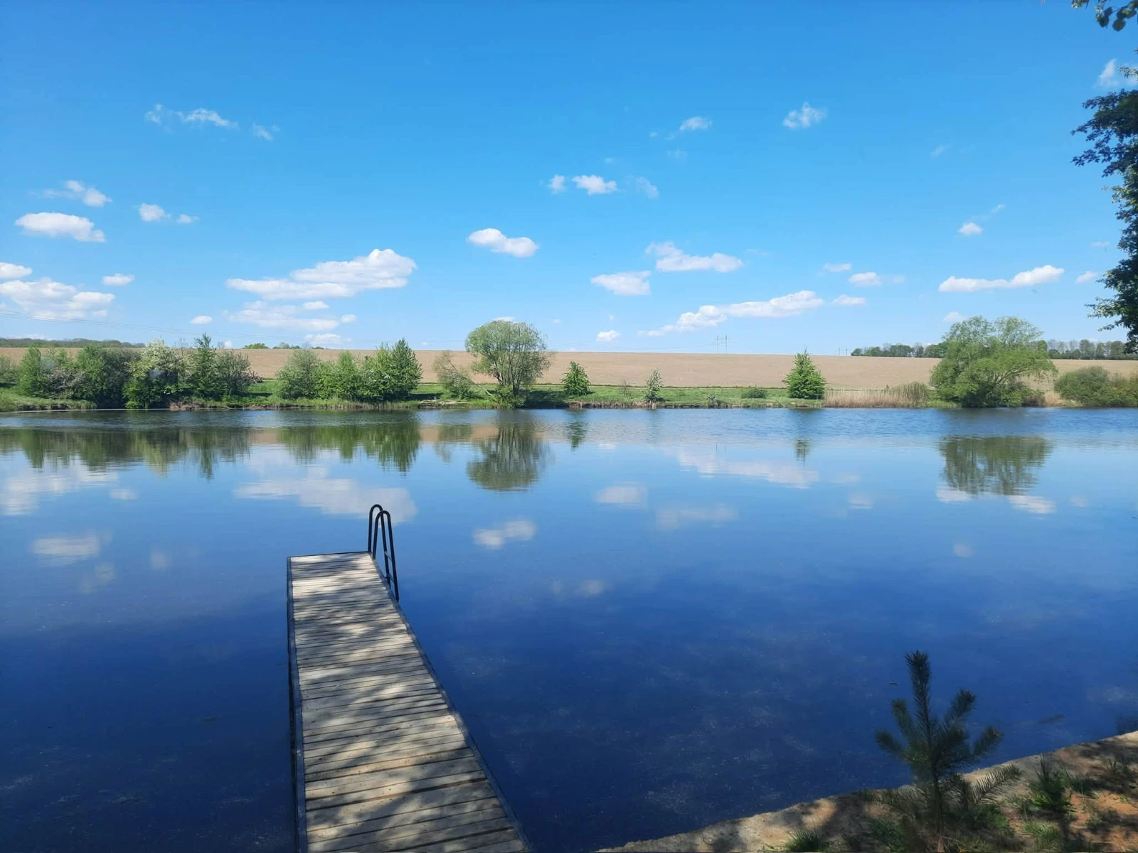 Ставок Лука-Мелешківська (База відпочинку "Кльове місце"), Вінницька обл. — риболовля, фото 5