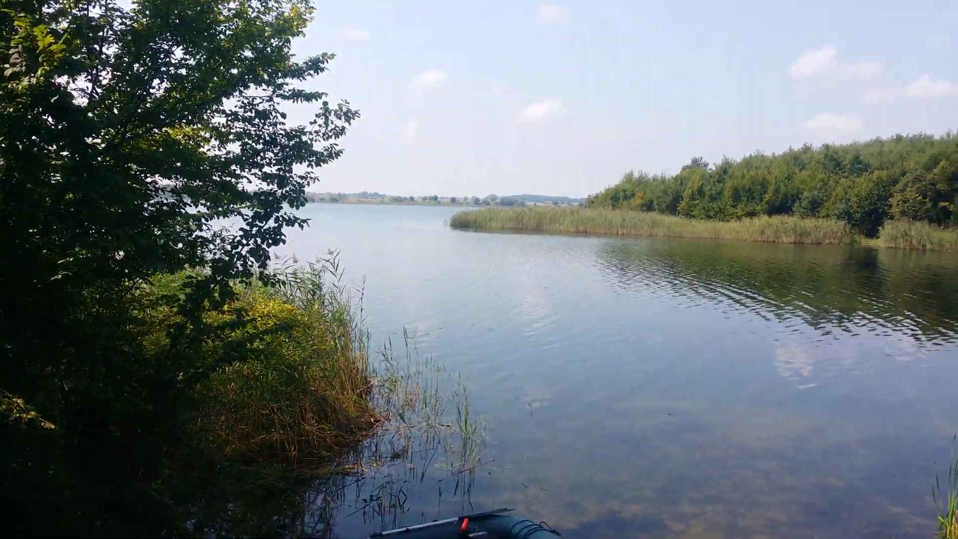 Ставок Віжомля, Львівська обл. — риболовля, фото 5