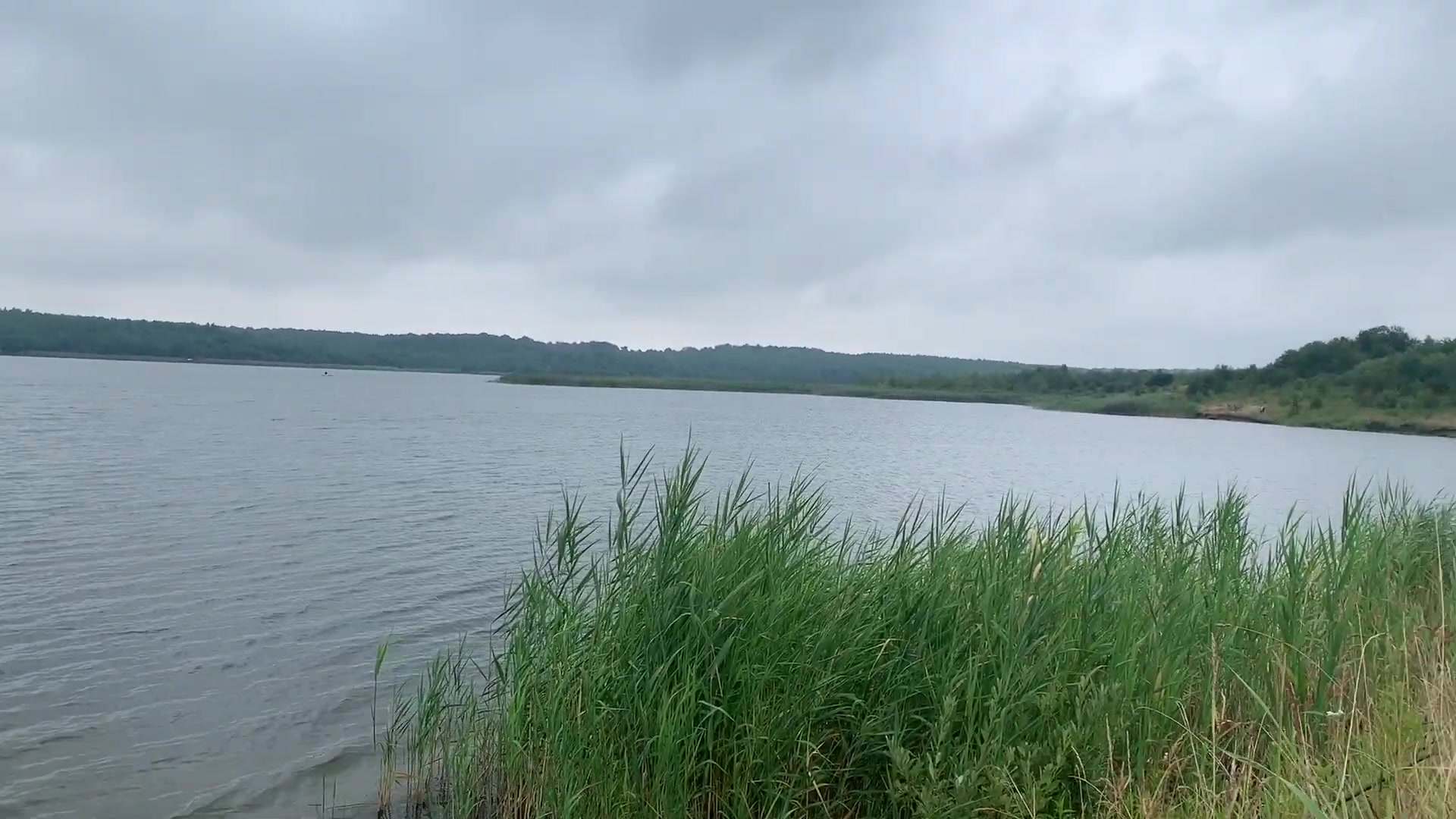 Ставок Віжомля, Львівська обл. — риболовля, фото 3