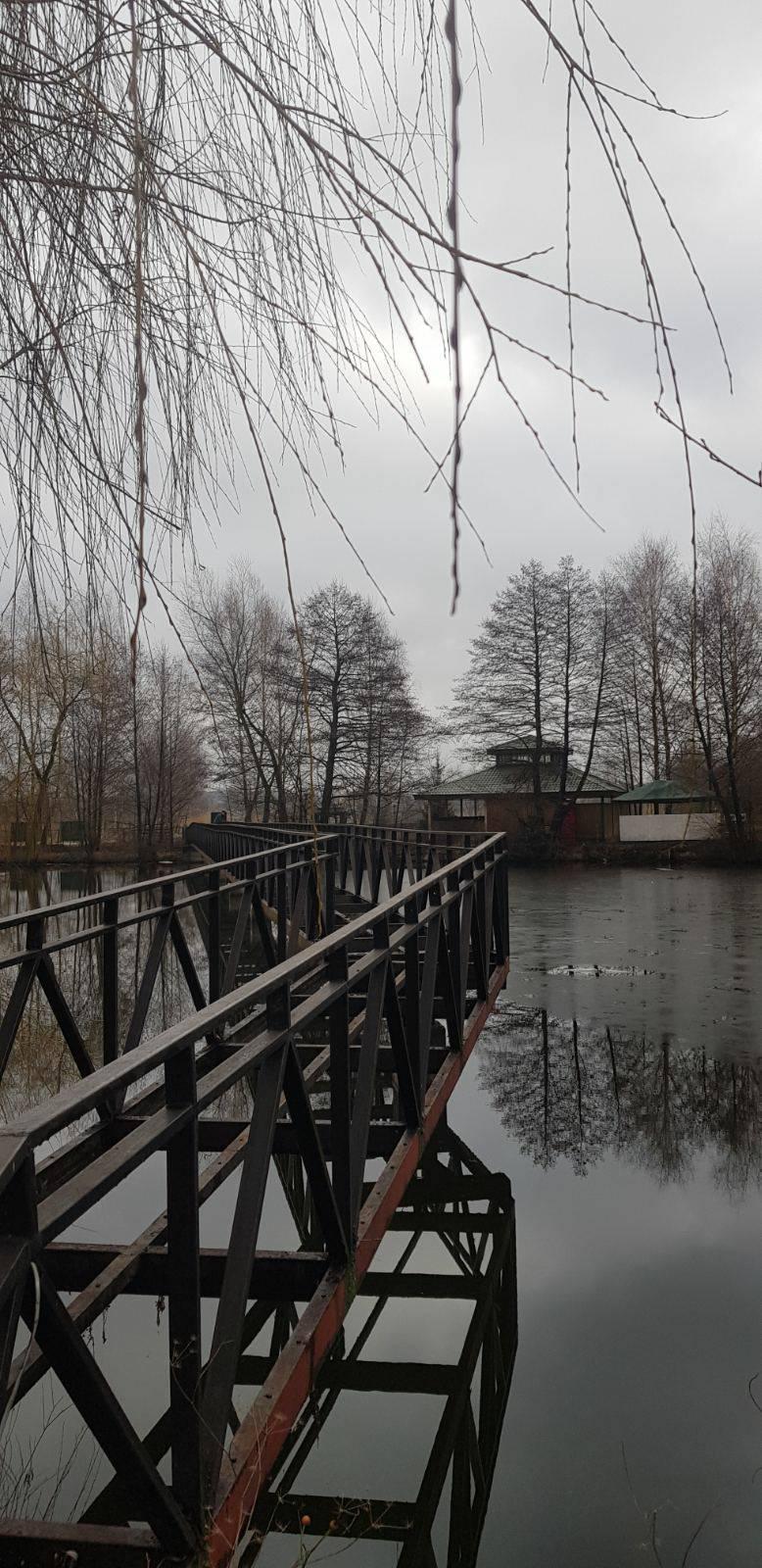 Ставок Пустомити (Карпатський водограй), Львівська обл. — риболовля, фото 23