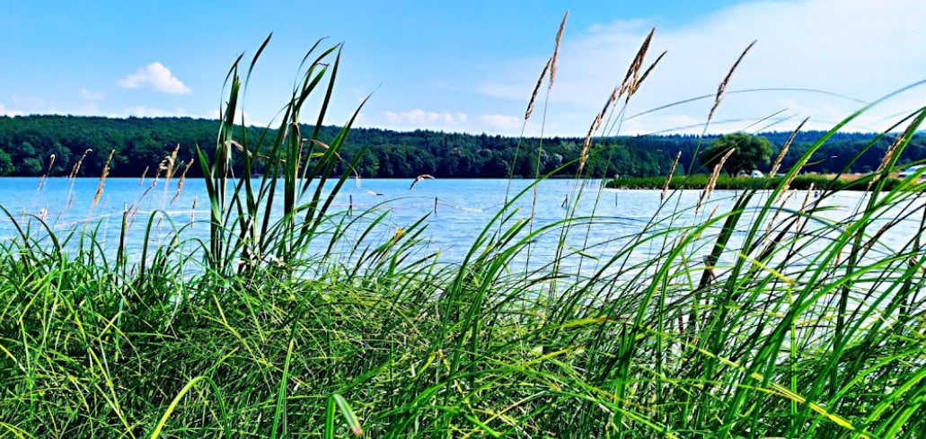 Доброгостівське водосховище, Львівська обл. — риболовля, фото 16