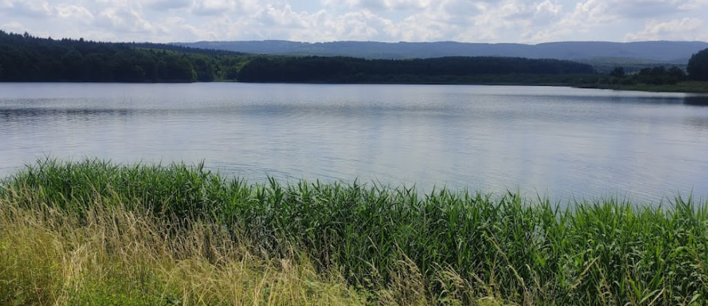 Доброгостівське водосховище, Львівська обл. — риболовля, фото 20
