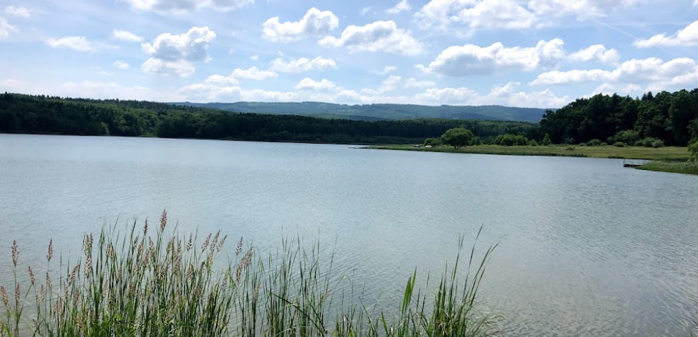 Доброгостівське водосховище, Львівська обл. — риболовля, фото 14