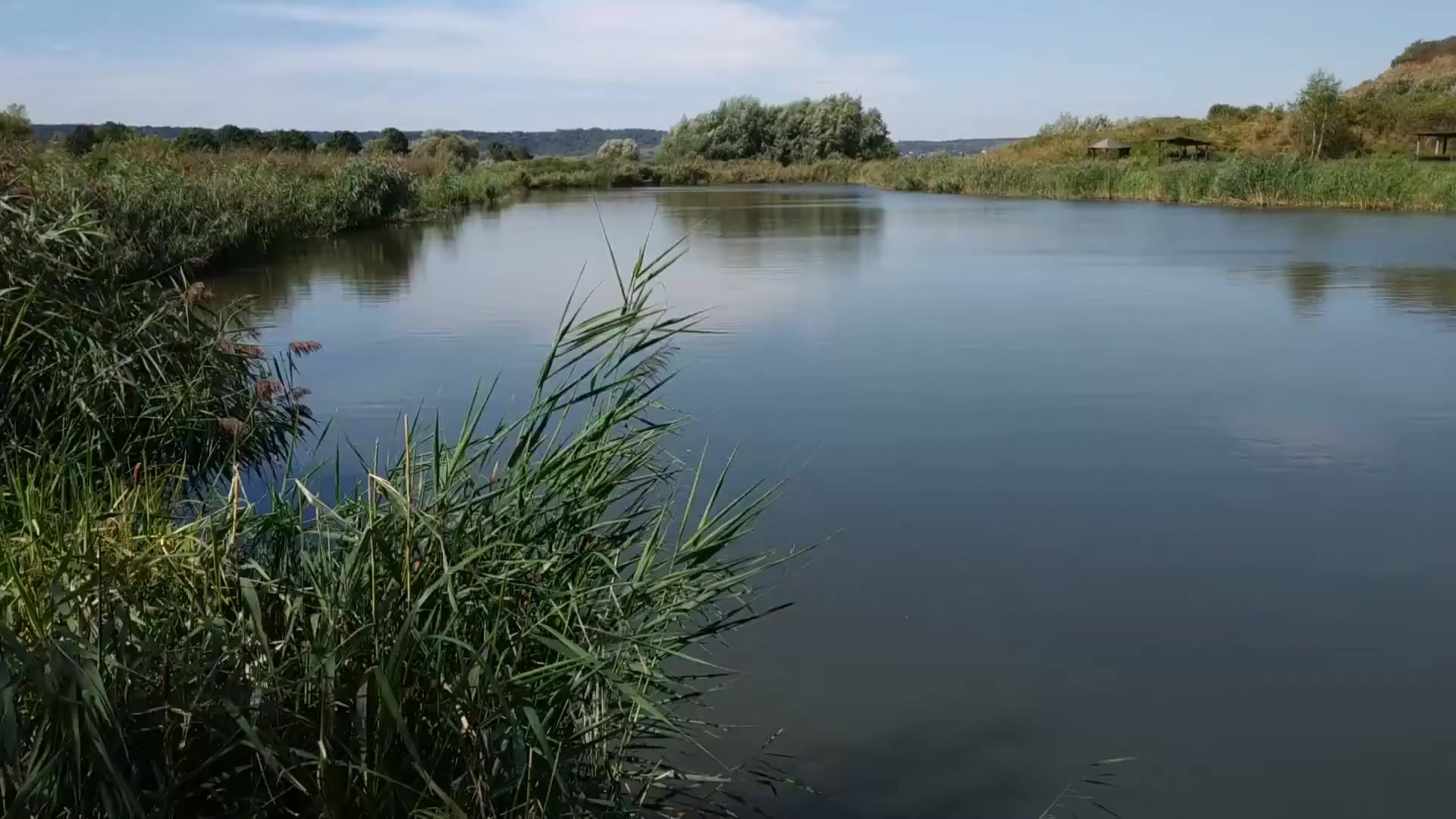 Звенигород (за фермою)