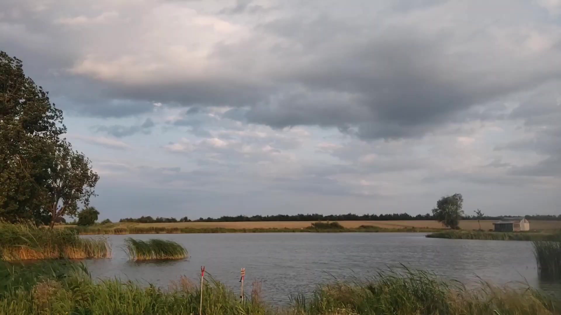 Ставок Підлісся, Львівська обл. — риболовля, фото 2