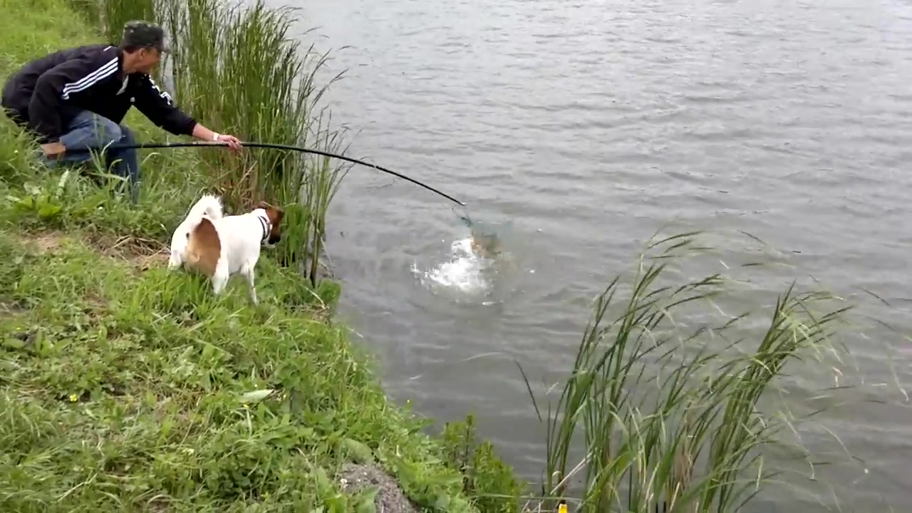 Ременів
