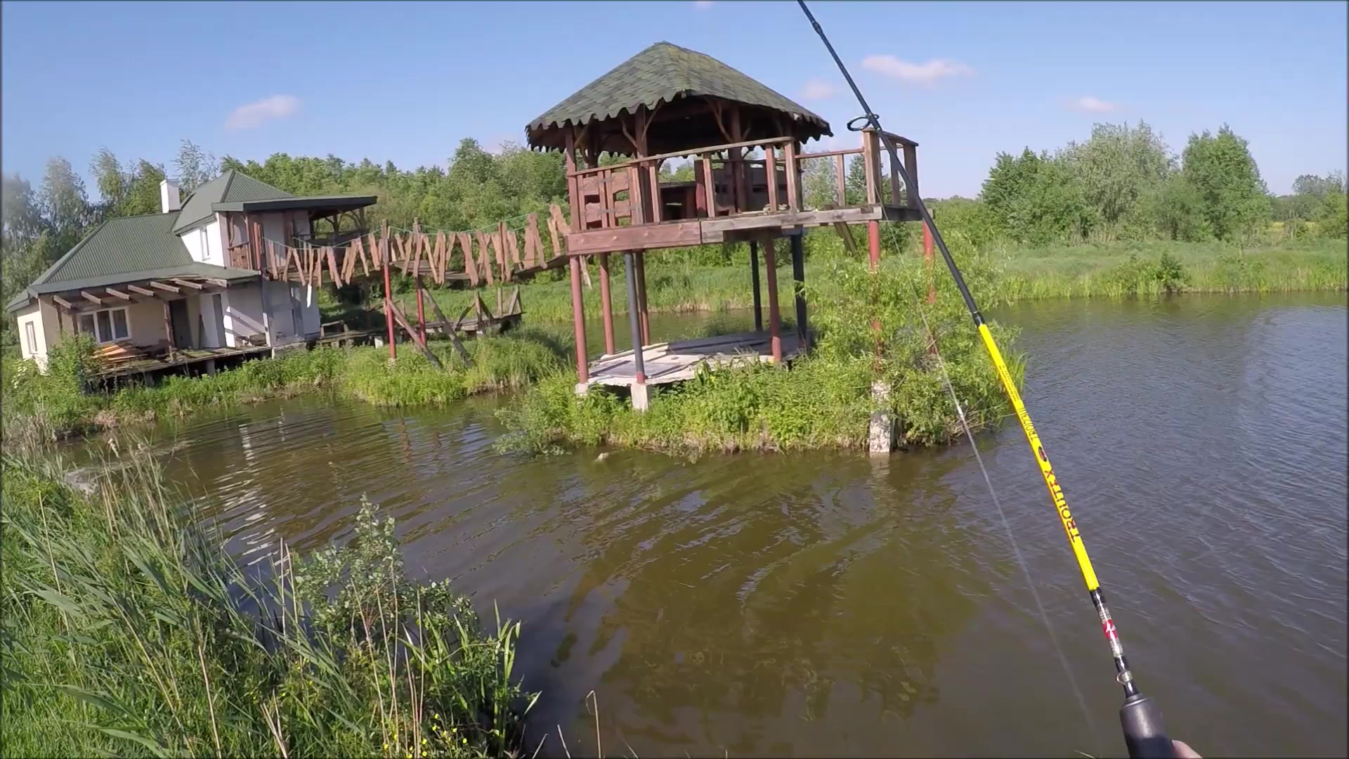 Ставок Руда Крехівська, Львівський район — риболовля, фото 3