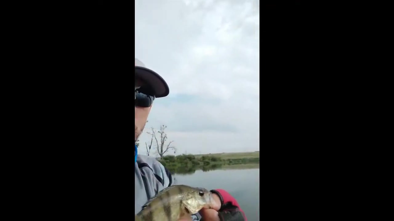 Ставок Сулимів, Львівська обл. — риболовля, фото 5
