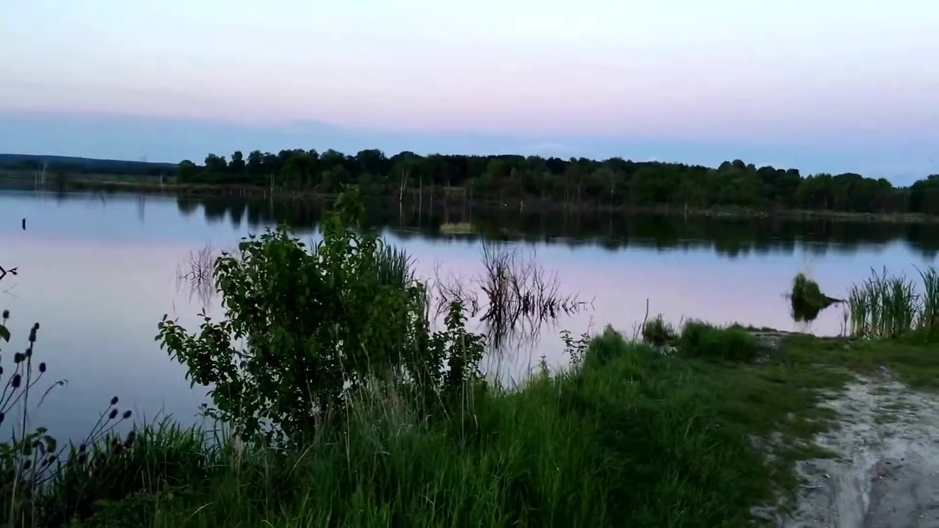 Шкло (Став «Розливи»), Львівська обл. — риболовля, фото 4