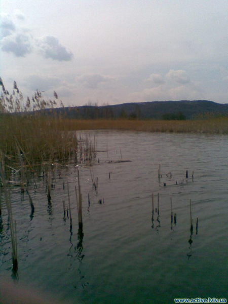 Глинськ-Липники