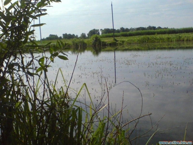 Озеро Магерів (південний став), Львівська обл. — риболовля, фото 2