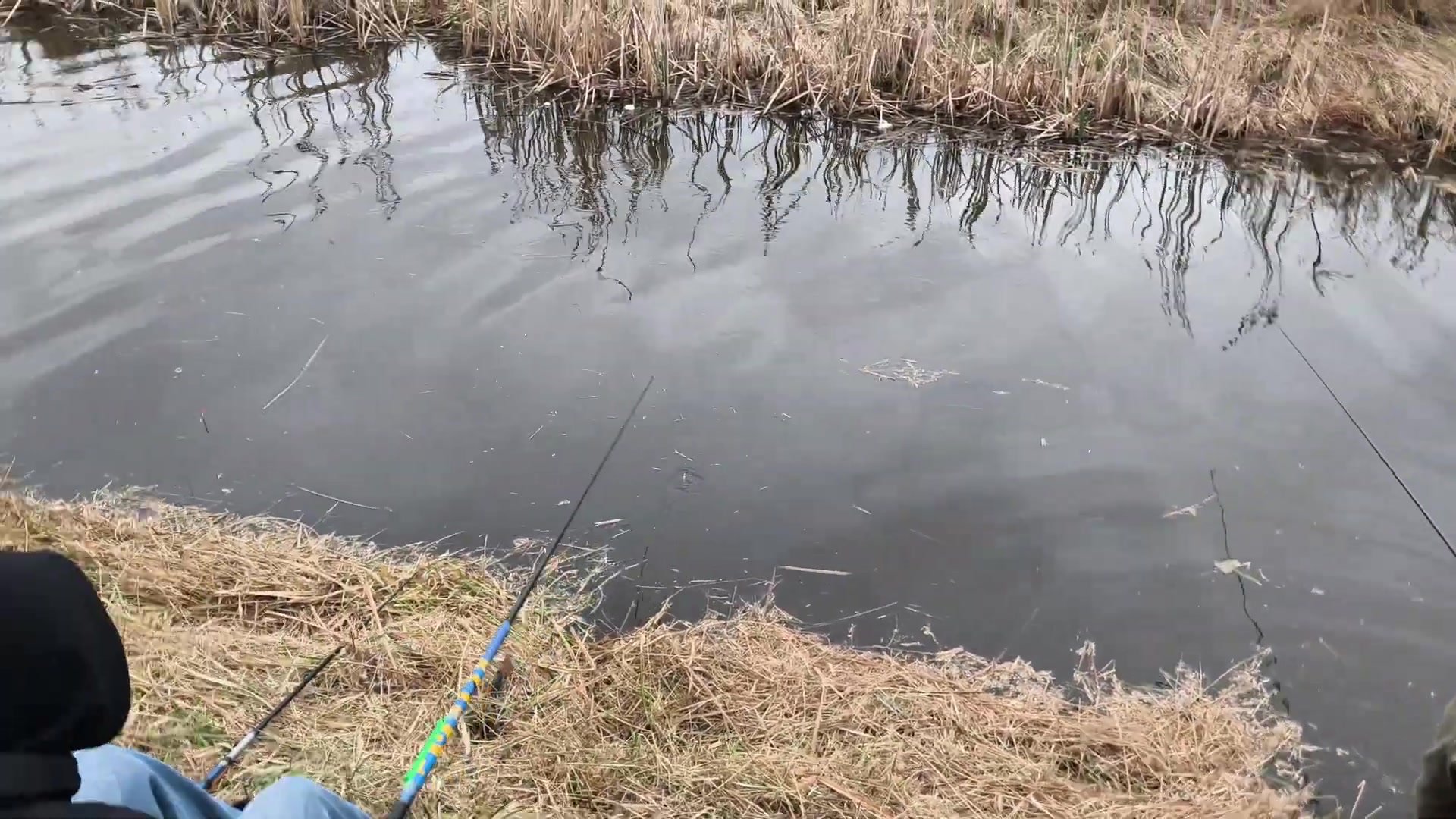 Водосховище Демидів, Київська обл. — риболовля, фото 2