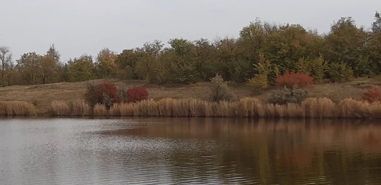 Олександрівське водосховище, Харківська обл. — риболовля, фото 4