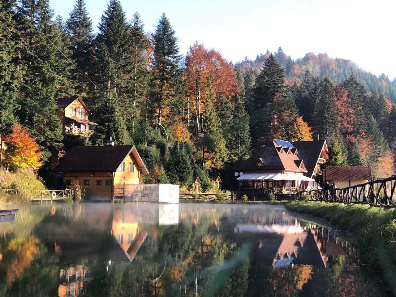 Ставок Осоння Карпати, Львівська обл. — риболовля, фото 3
