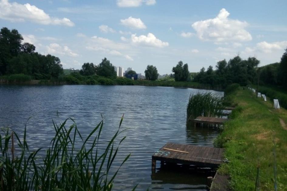 Озеро Чайка (Cool Place), Київська обл. — риболовля, фото 12