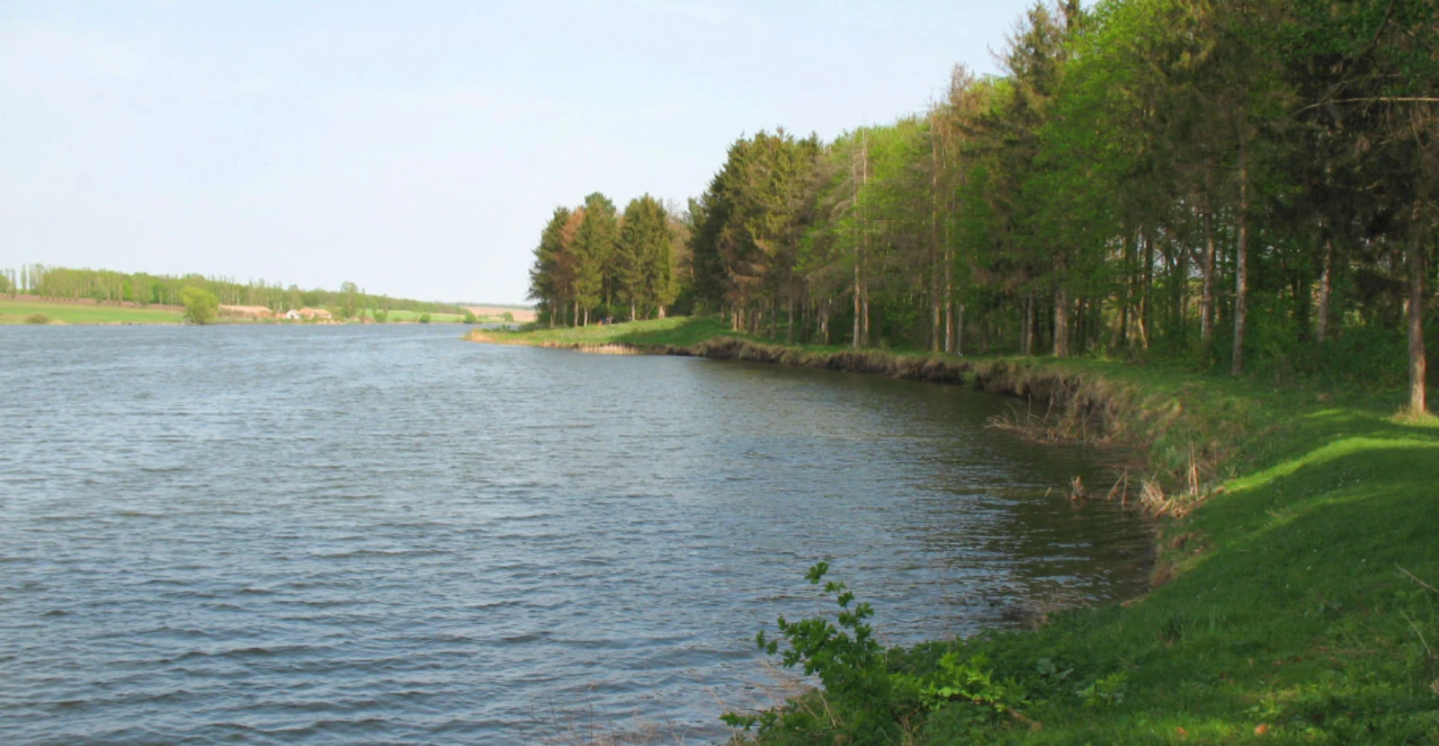 Давидківці