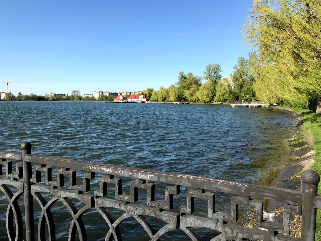 Івано-Франківськ (Міське Озеро), Івано-Франківська обл. — риболовля, фото 3