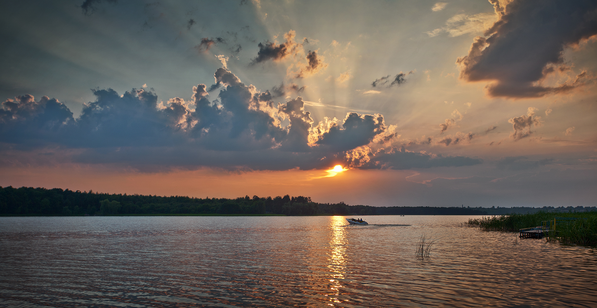 Хрінники