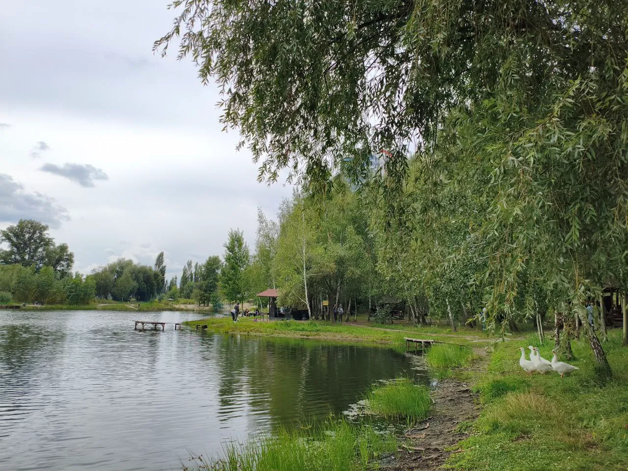 Озеро Корольок (південне), Київська обл. — риболовля, фото 5