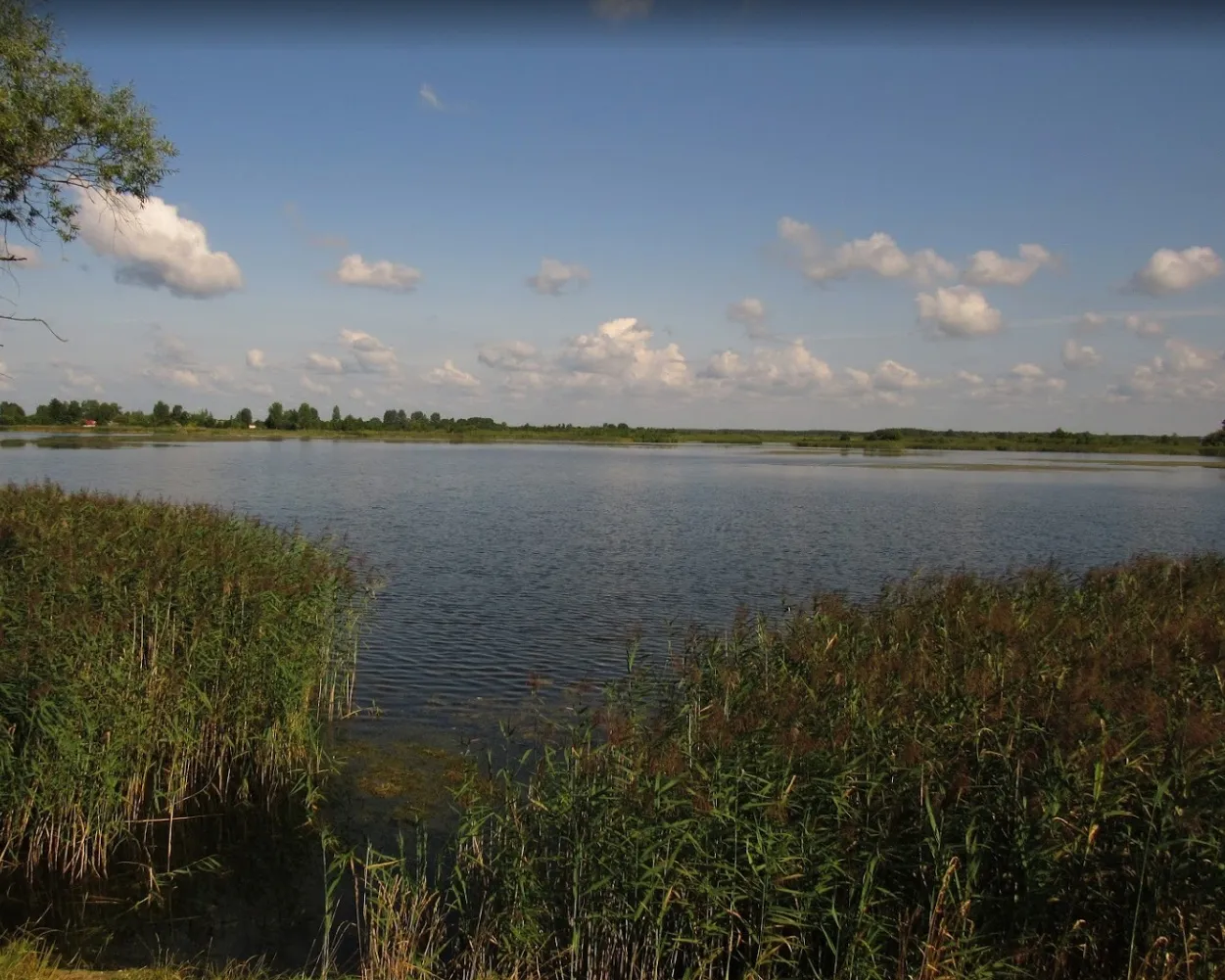 Кримне (Озеро Домашнє), Волинська обл. — риболовля, фото 7