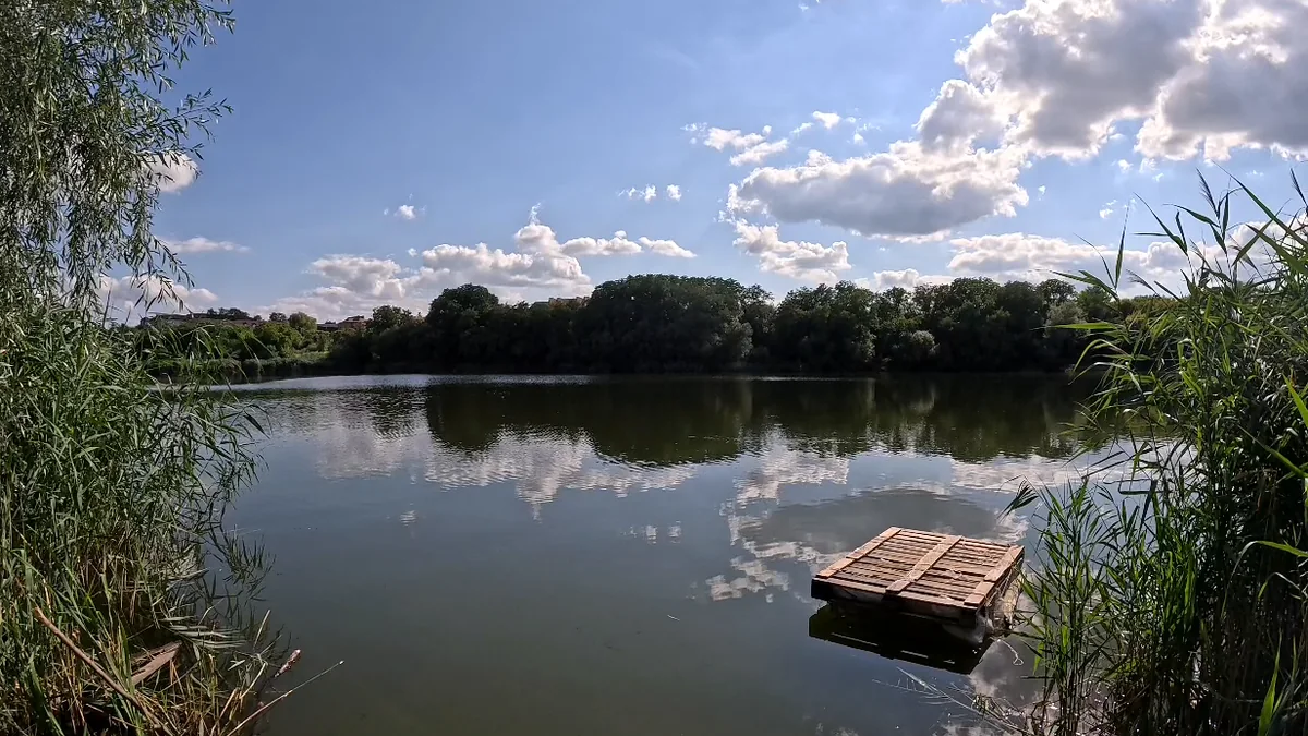 Озеро Кришталеве (Чернівці), Чернівецька обл. — риболовля, фото 4
