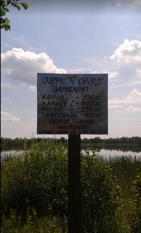 Ставок Озеро Наболоцьке, Волинська обл. — риболовля, фото 3